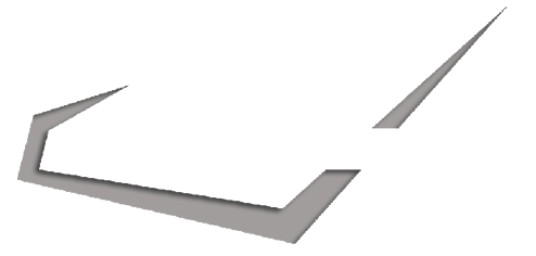 CHAMPION LOGISTICS INC, Logo